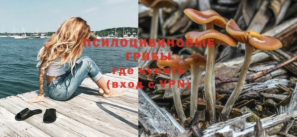дмт Балахна