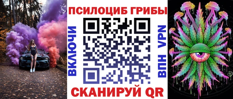 Галлюциногенные грибы Psilocybine cubensis  закладка  Рудня 